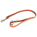 A tan leather dog leash with silver metal hardware, including a swivel snap hook and a large ring handle.