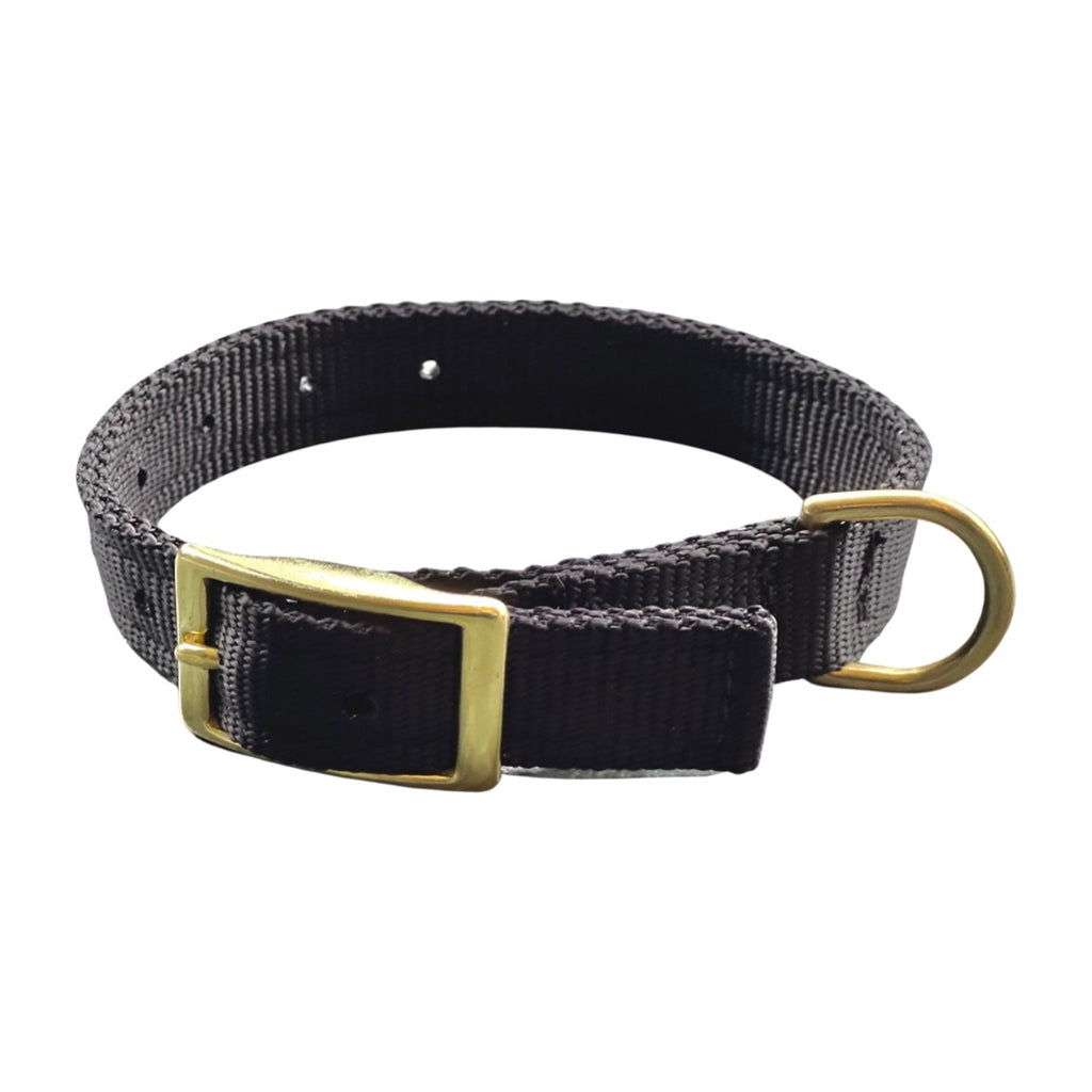 Black nylon dog collar with brass buckle and D-ring
