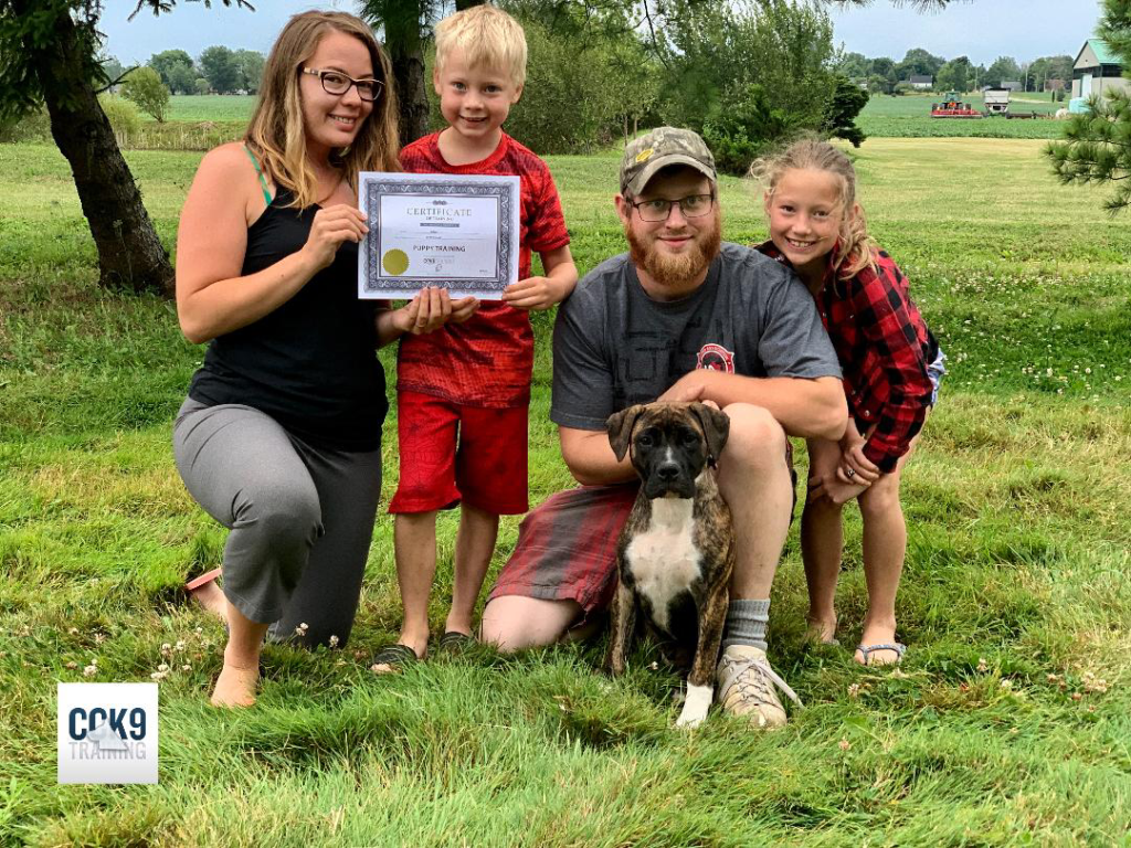 Looking for Dog Training Welland ? Give us a call 