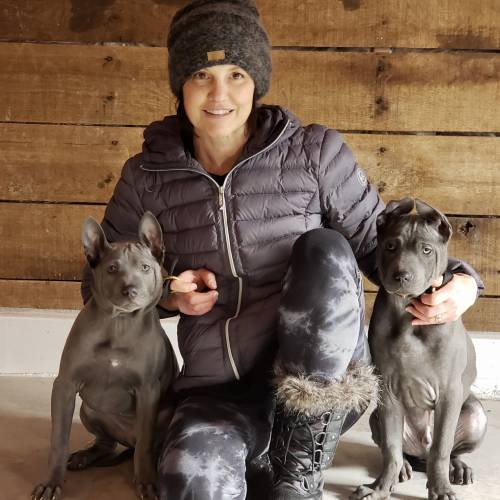 Dog Obedience training near me for our dog max