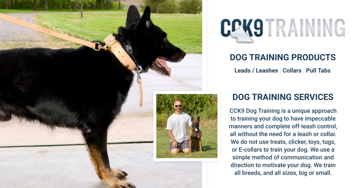 Positive E-Collar Training Guide for Big Dogs – Hello Danes