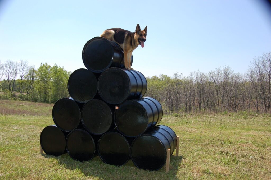 obstacle course training 