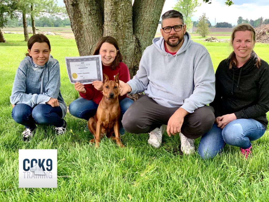 certified dog training 