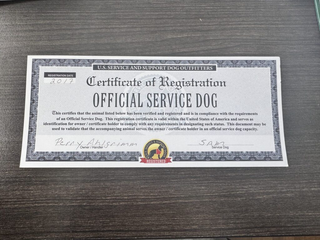 service dog training certification