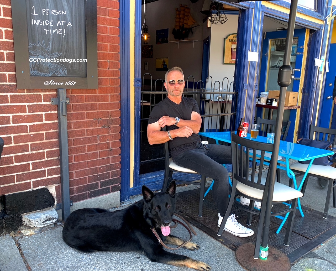 complete control with perry's off leash training for dogs