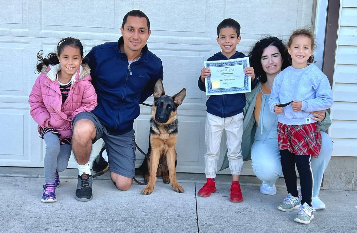 Puppy training certificate Local puppy training near me